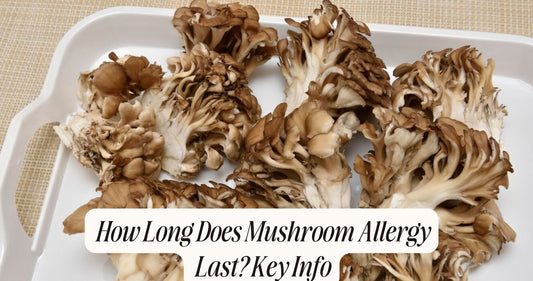 how long does mushroom allergy last