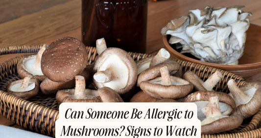 can someone be allergic to mushrooms