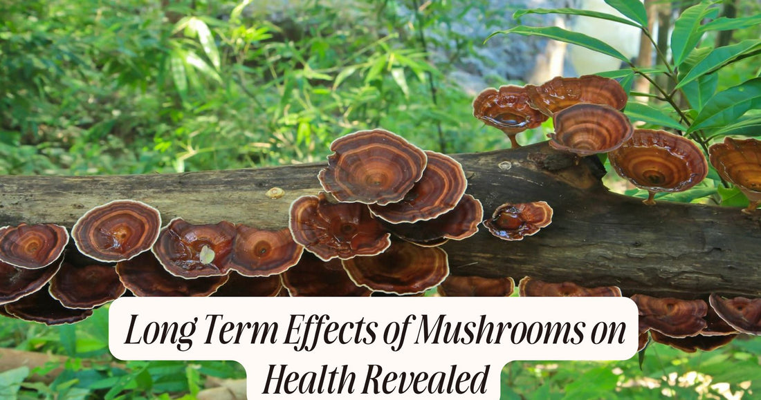 long term effects of mushrooms