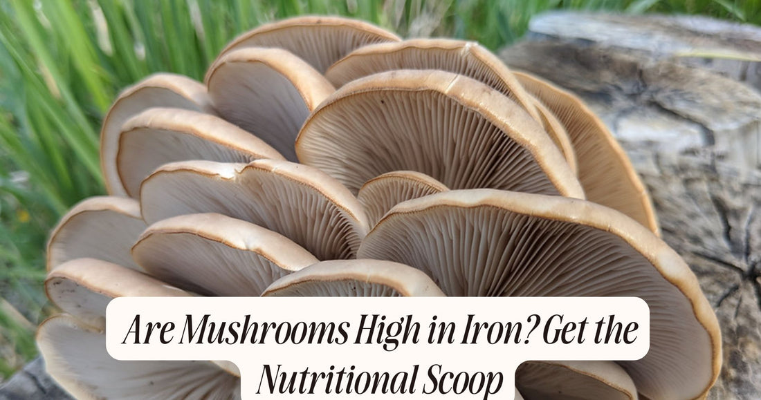 are mushrooms high in iron