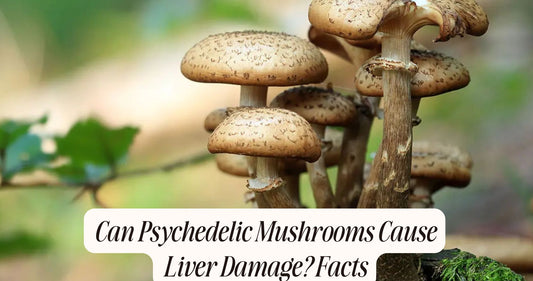 can psychedelic mushrooms cause liver damage