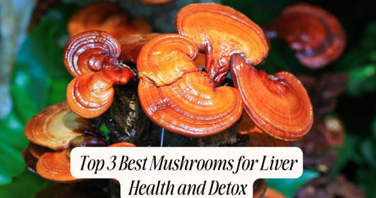 best mushrooms for liver health