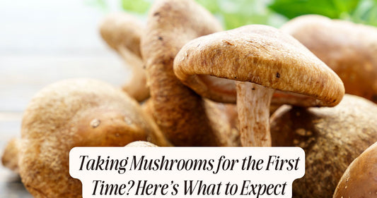 taking mushrooms for the first time