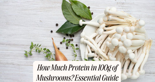 how much protein in 100g of mushrooms