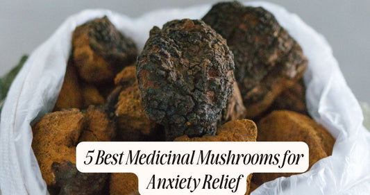 medicinal mushrooms for anxiety