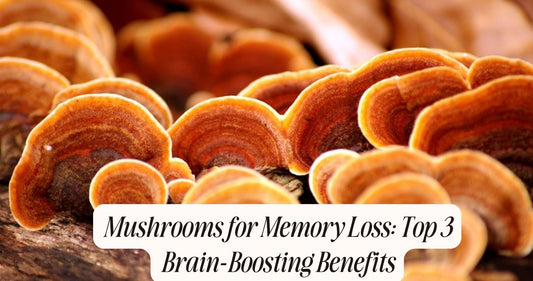 mushrooms for memory loss