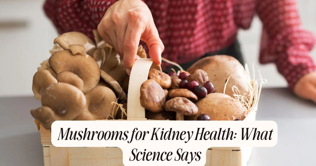 mushrooms for kidney health