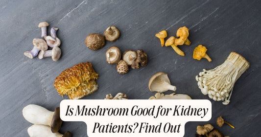 mushroom good for kidney patients