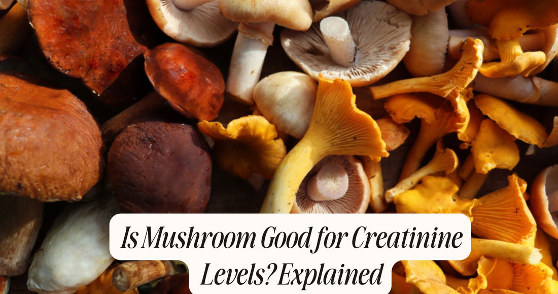 is mushroom good for creatinine