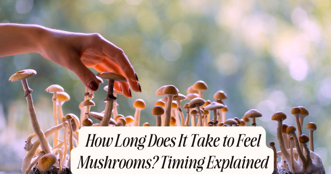 how long does it take to feel mushrooms