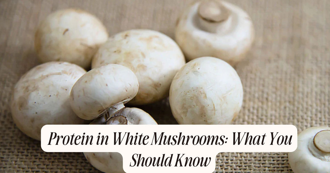 protein in white mushrooms