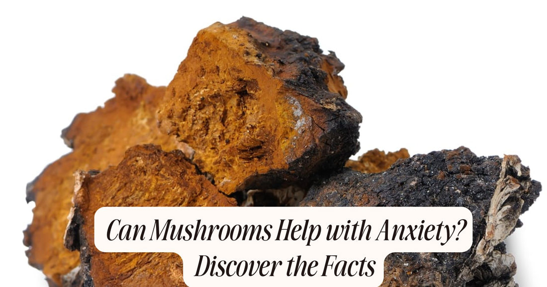 can mushrooms help with anxiety