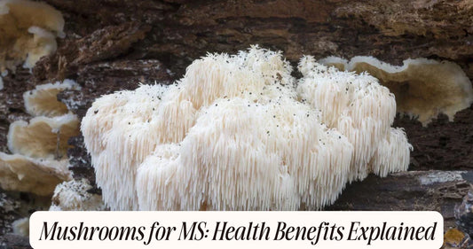 mushrooms for ms