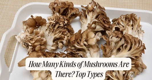 how many kinds of mushrooms are there