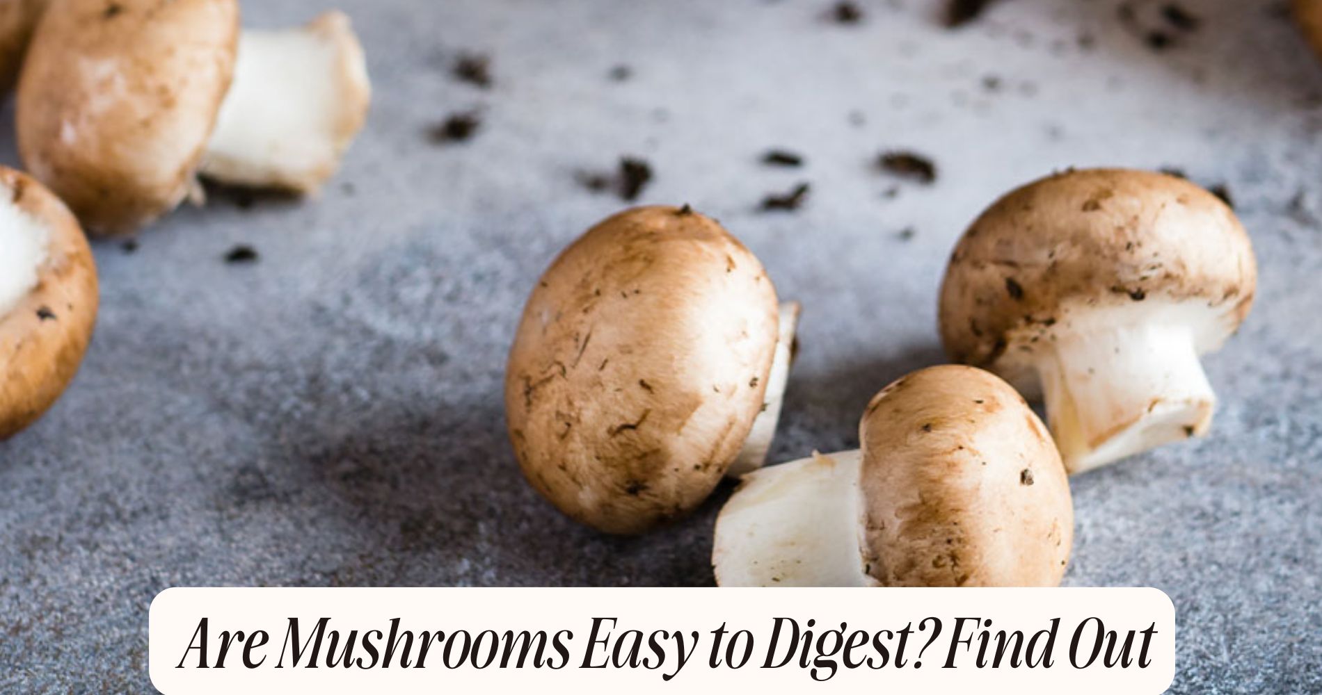 are mushrooms easy to digest