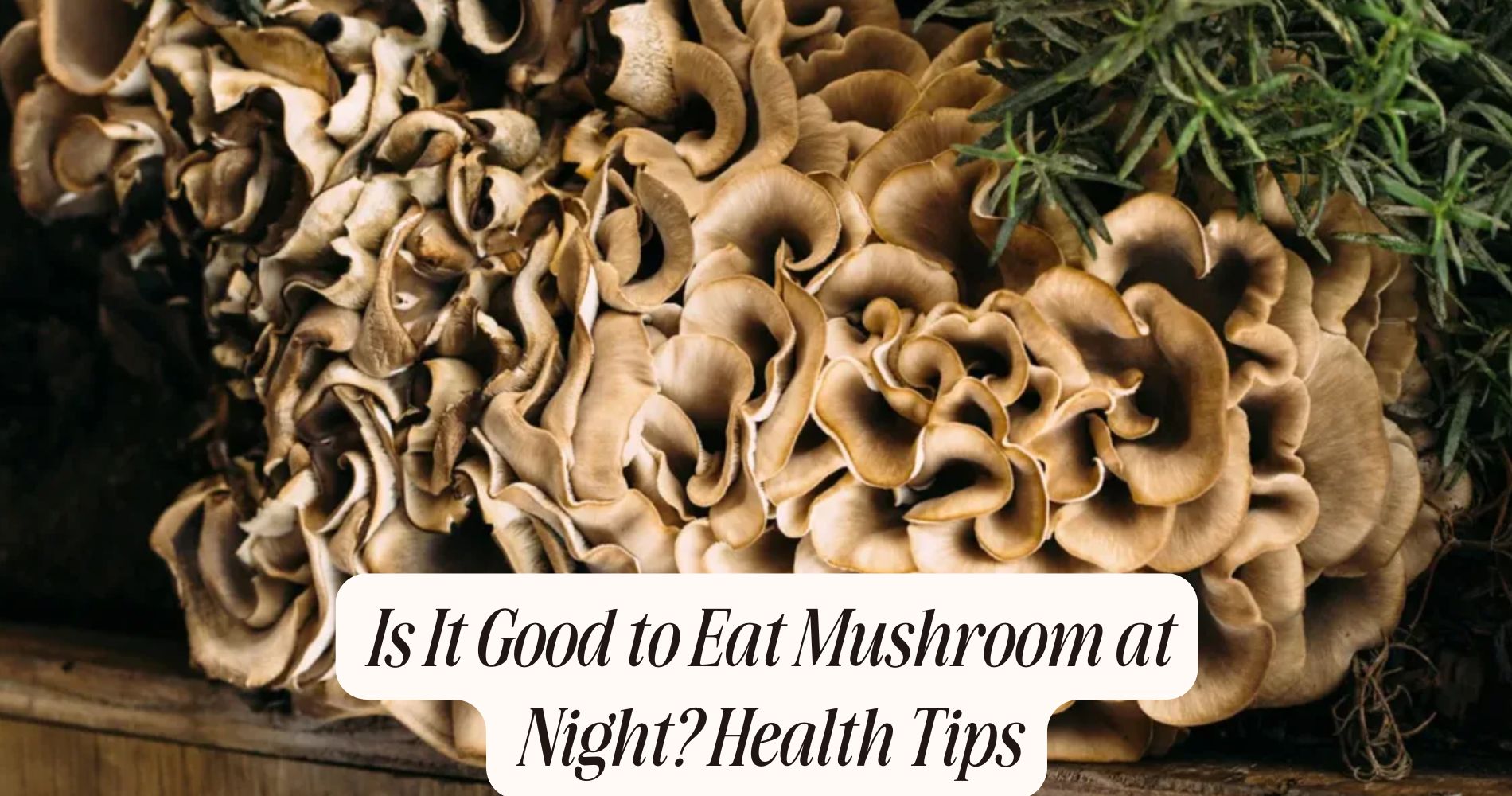 is it good to eat mushroom at night