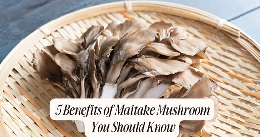 benefits of maitake mushroom