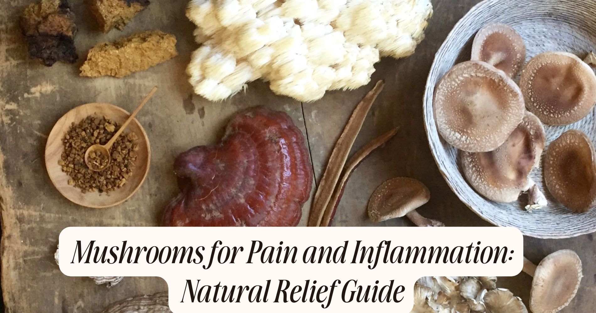 mushrooms for pain and inflammation