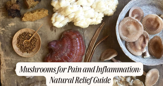 mushrooms for pain and inflammation