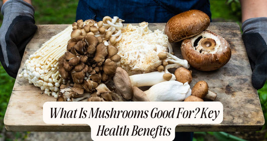 what is mushrooms good for