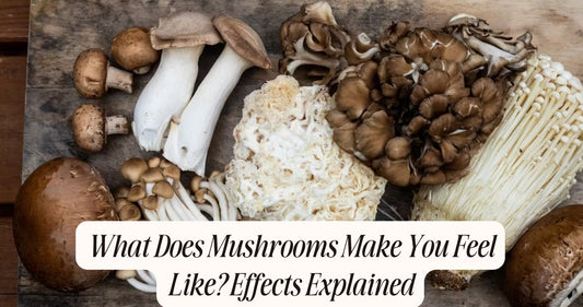 what does mushrooms make you feel like