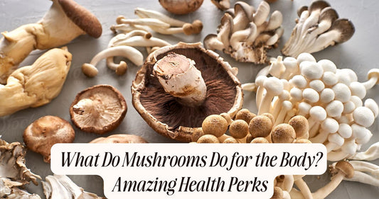 what do mushrooms do for the body