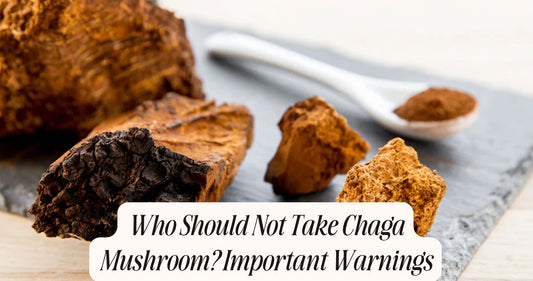 who should not take chaga mushroom