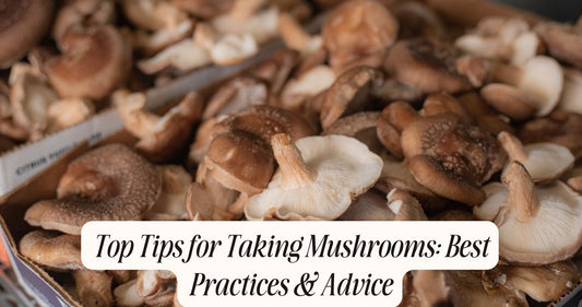 tips for taking mushrooms