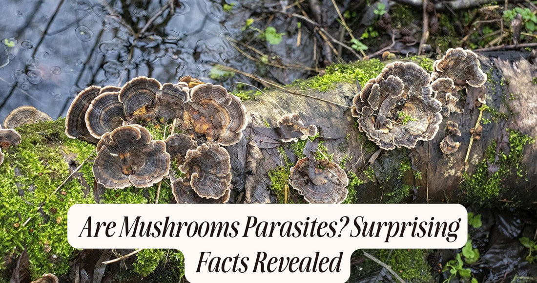 are mushrooms parasites