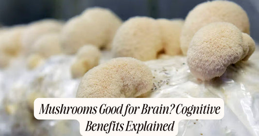 mushrooms good for brain