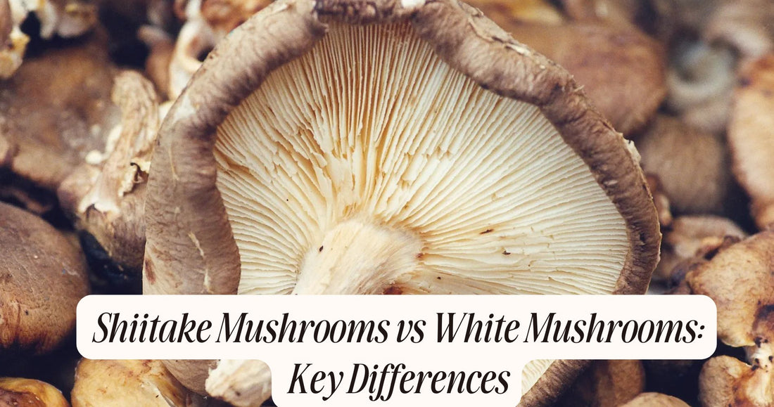 shiitake mushrooms vs white mushrooms