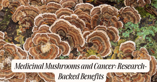 medicinal mushrooms and cancer