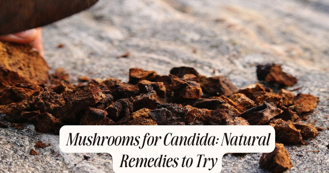mushrooms for candida