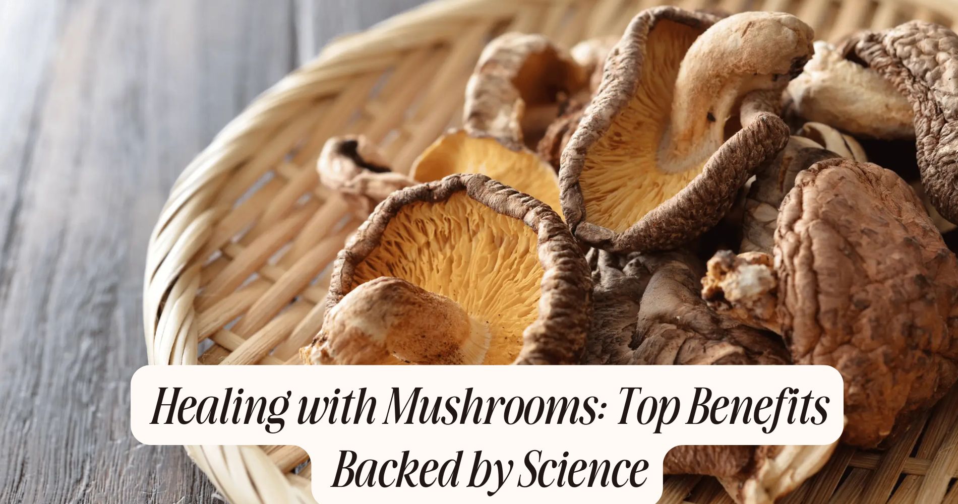 healing with mushrooms