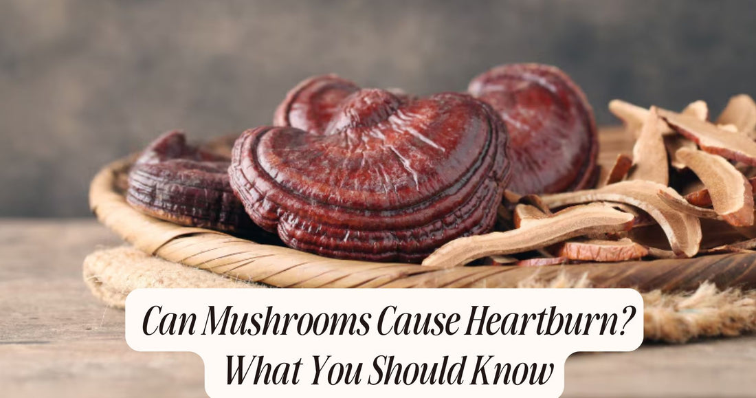 can mushrooms cause heartburn