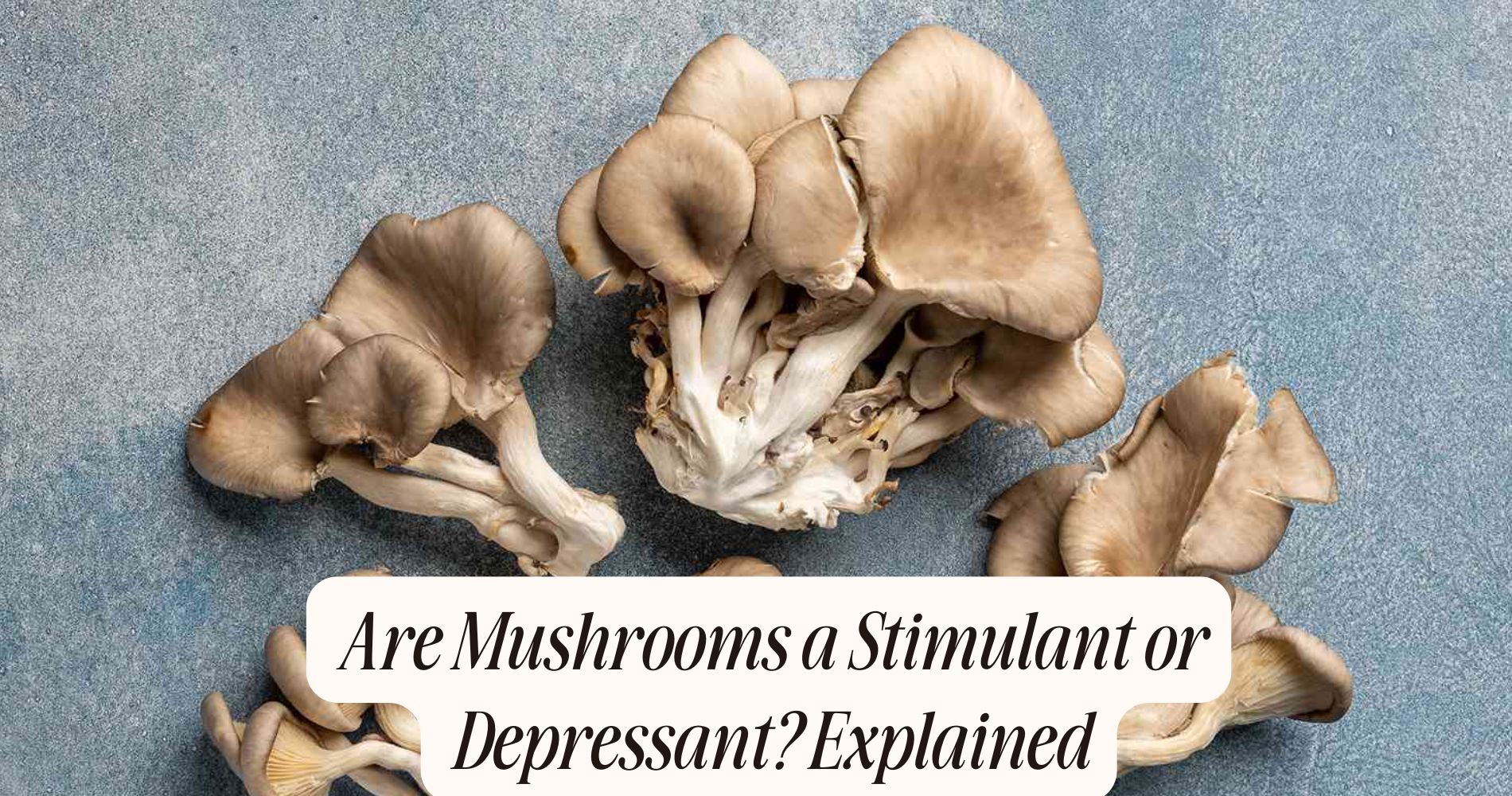 are mushrooms a stimulant or depressant
