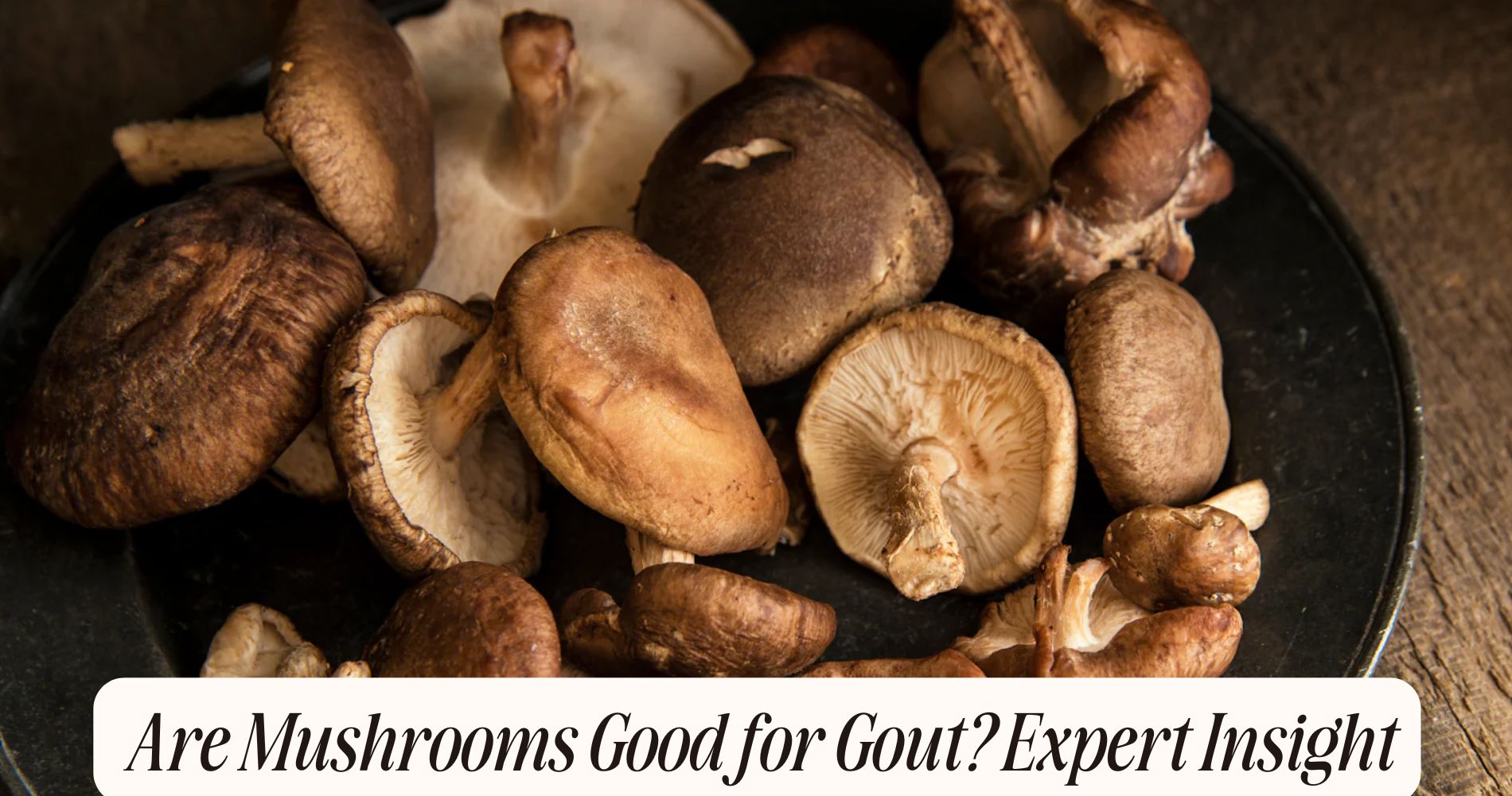 are mushrooms good for gout