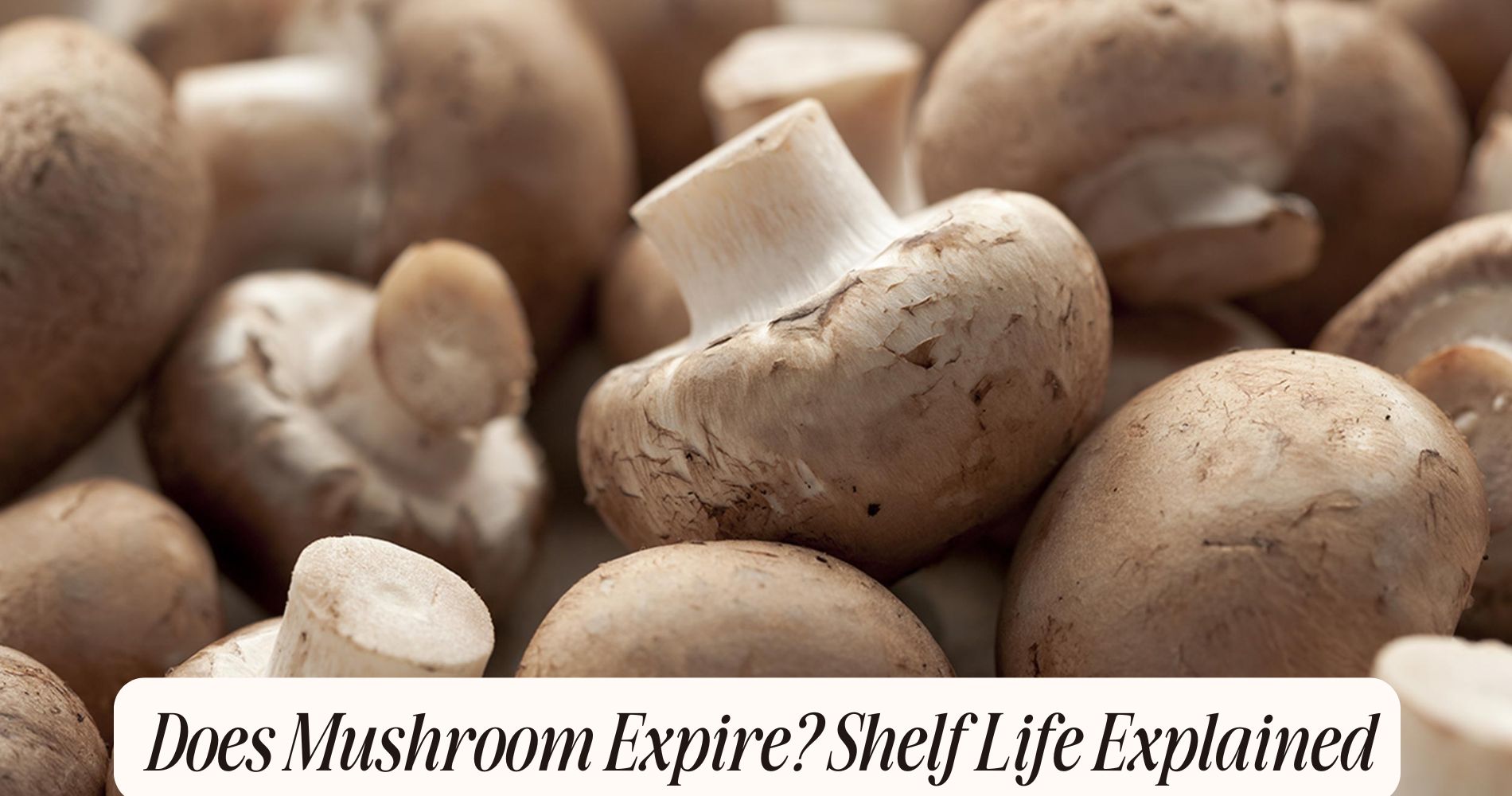 does mushroom expire