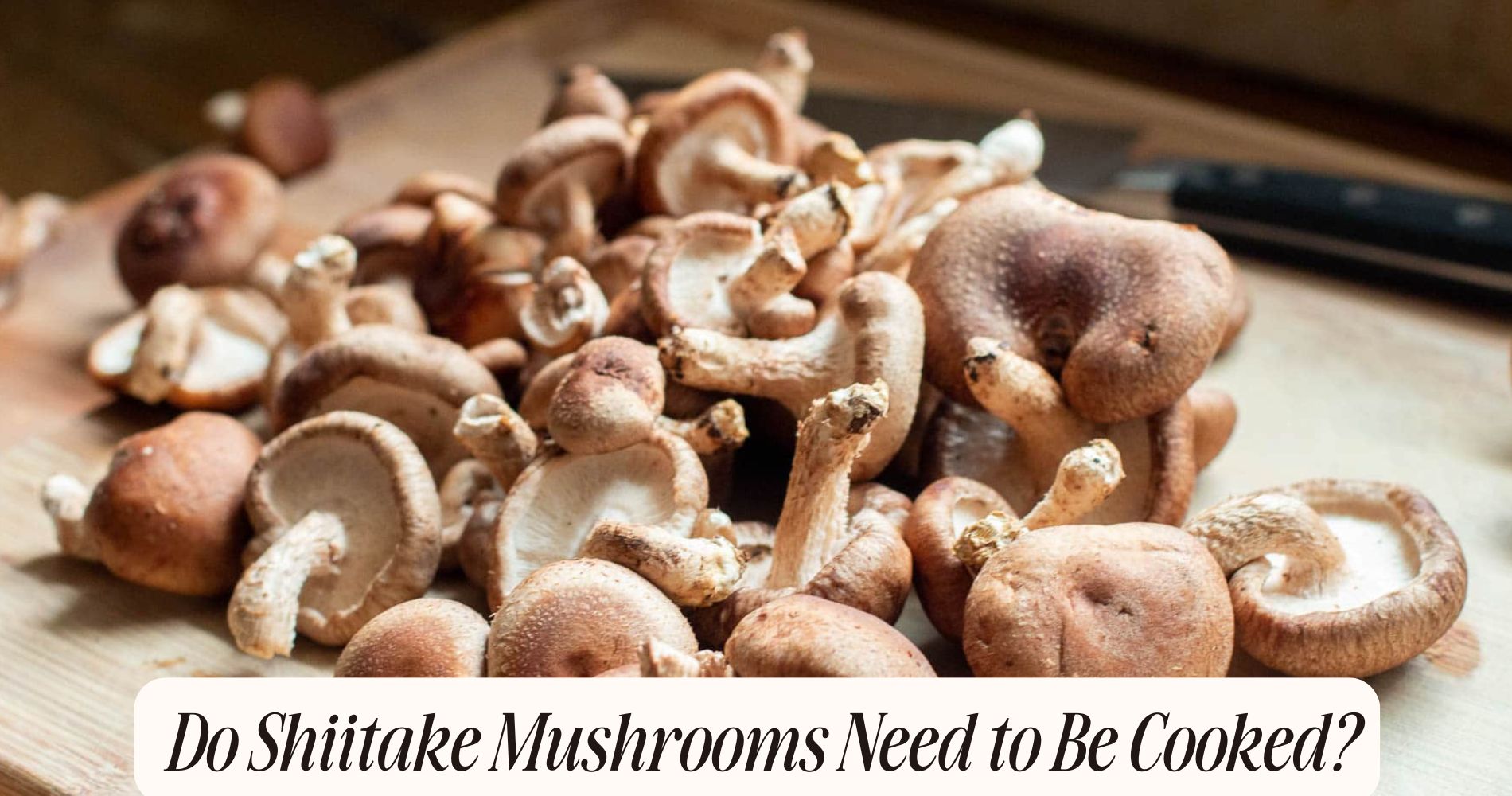 do shiitake mushrooms need to be cooked