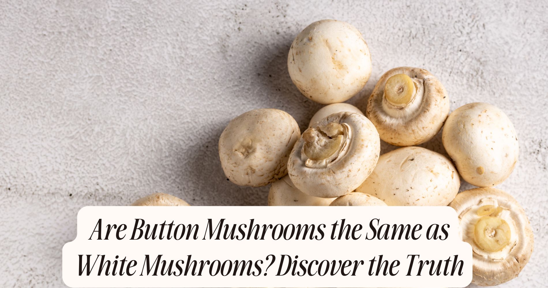 are button mushrooms the same as white mushrooms