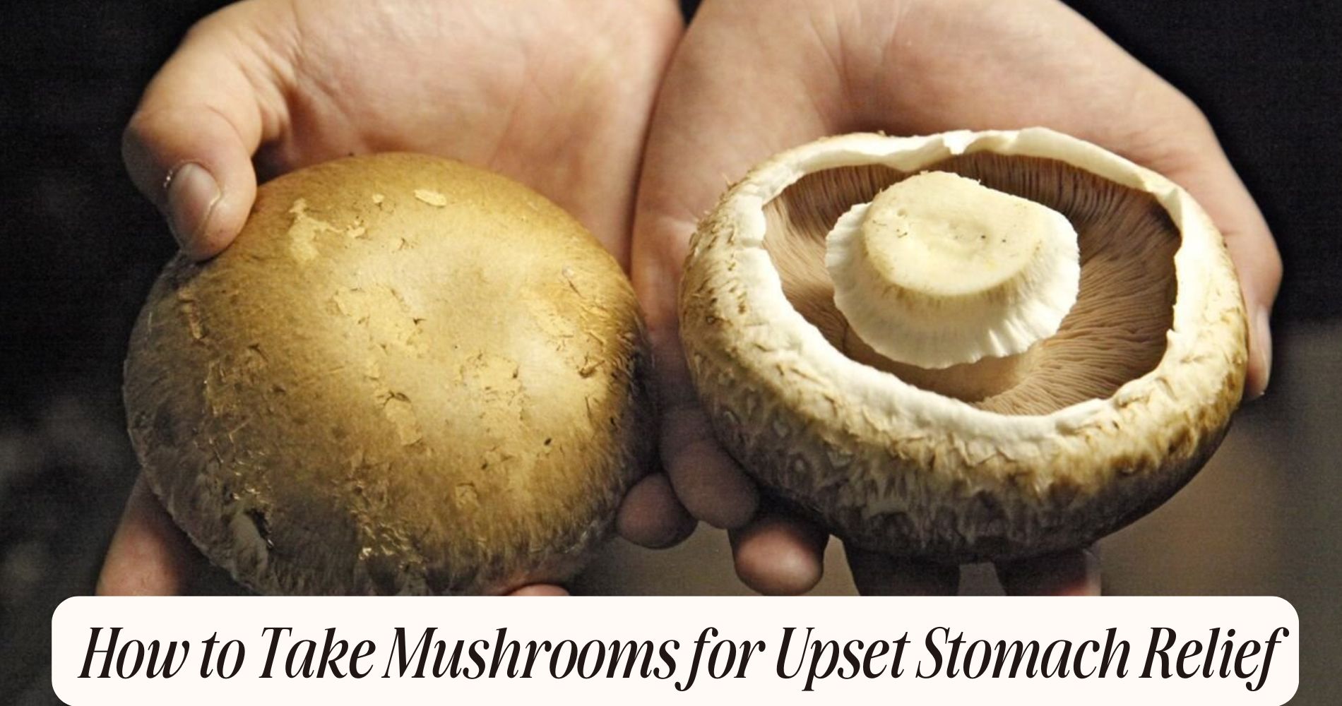 how to take mushrooms for upset stomach