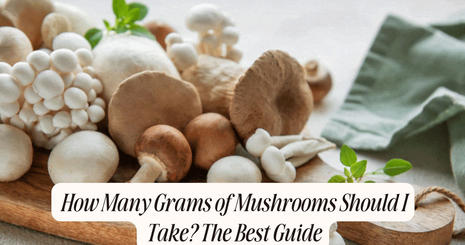 how many grams of mushrooms should i take