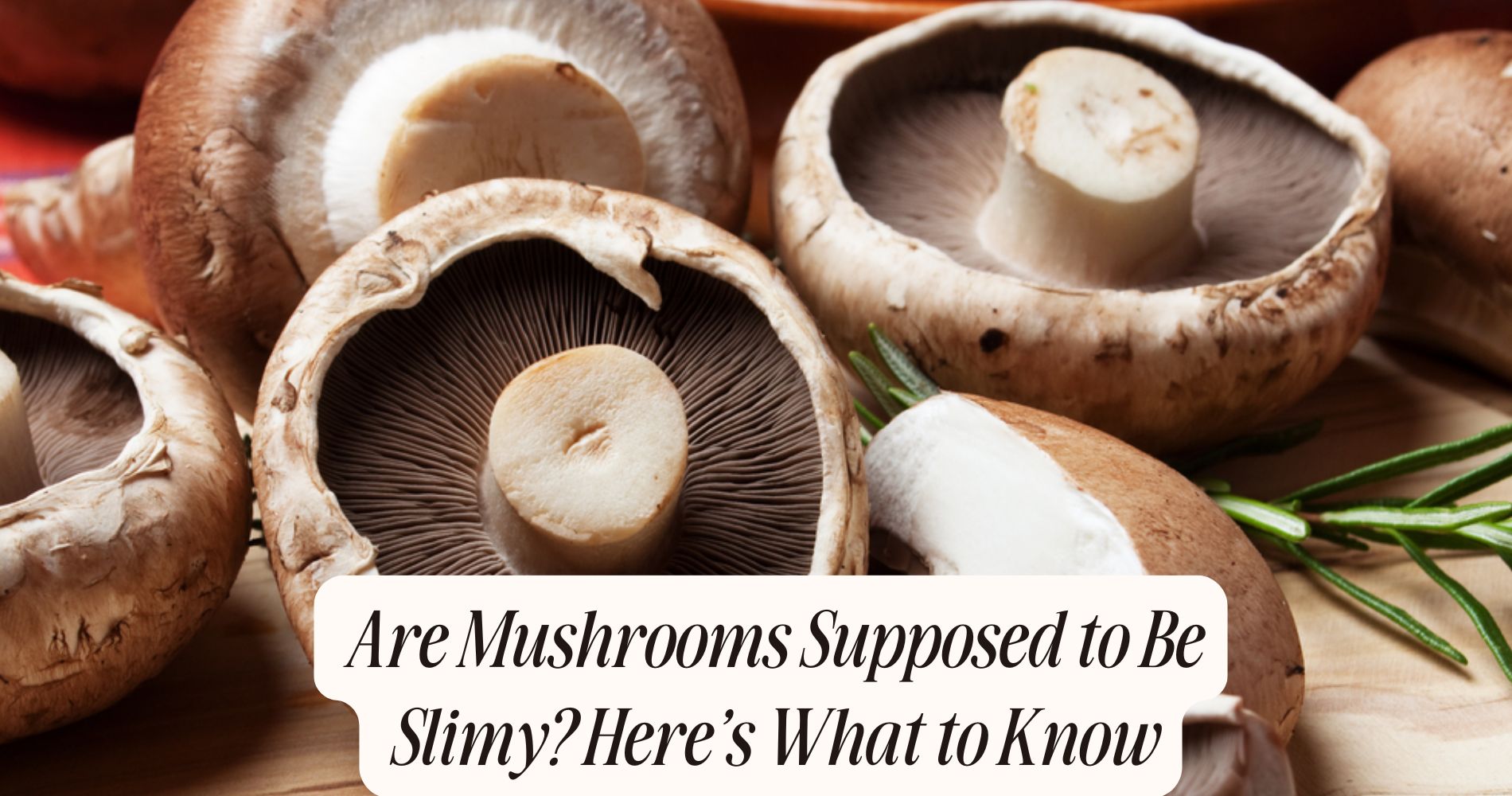 are mushrooms supposed to be slimy