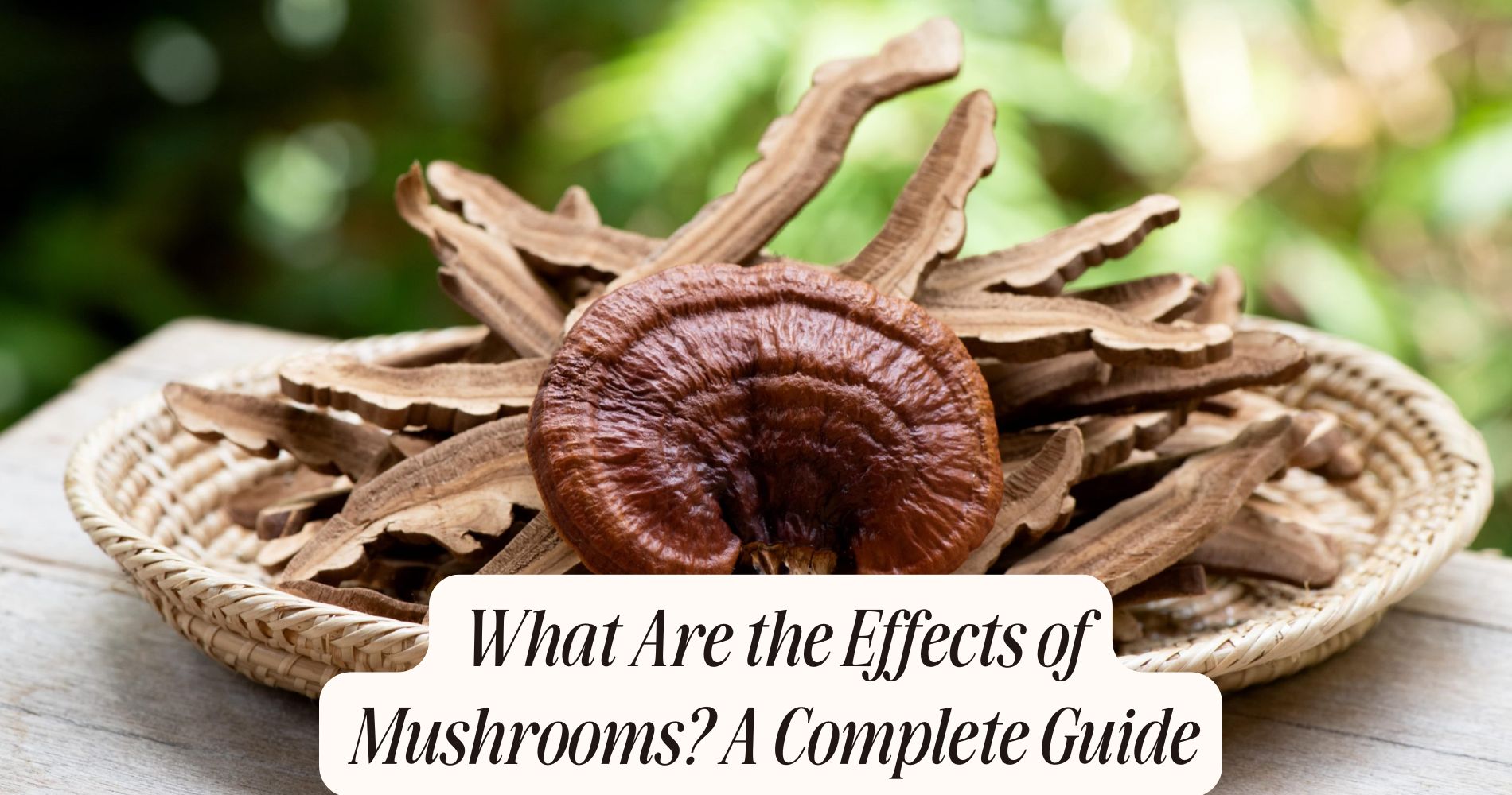 what are the effects of mushrooms