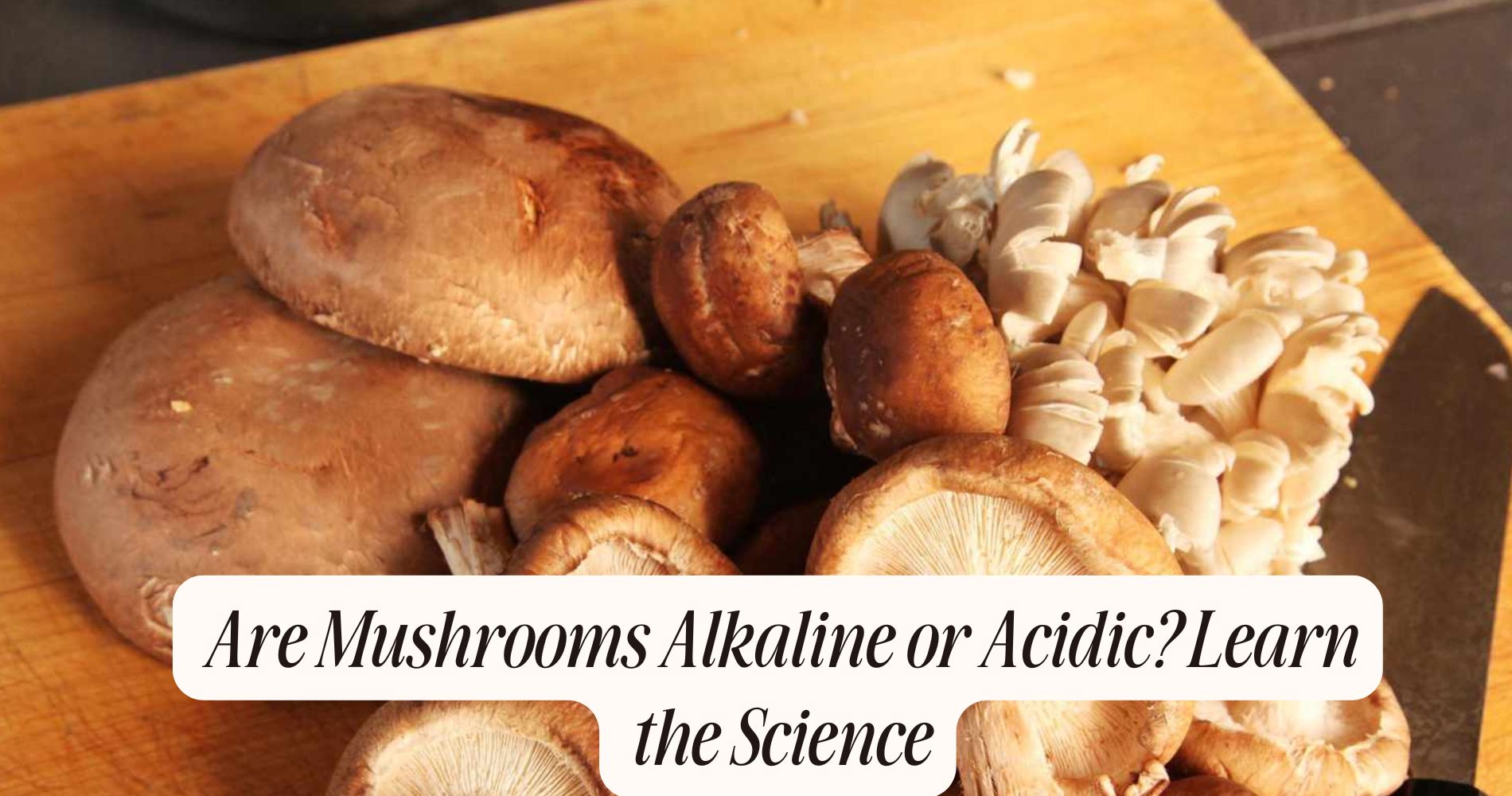 are mushrooms alkaline or acidic