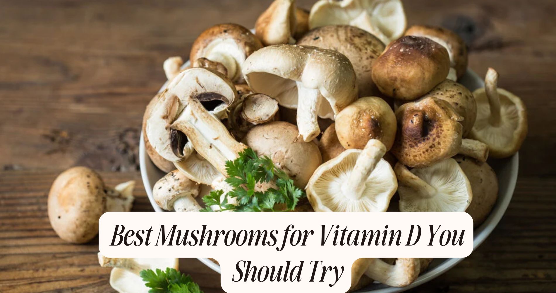 best mushrooms for vitamin d