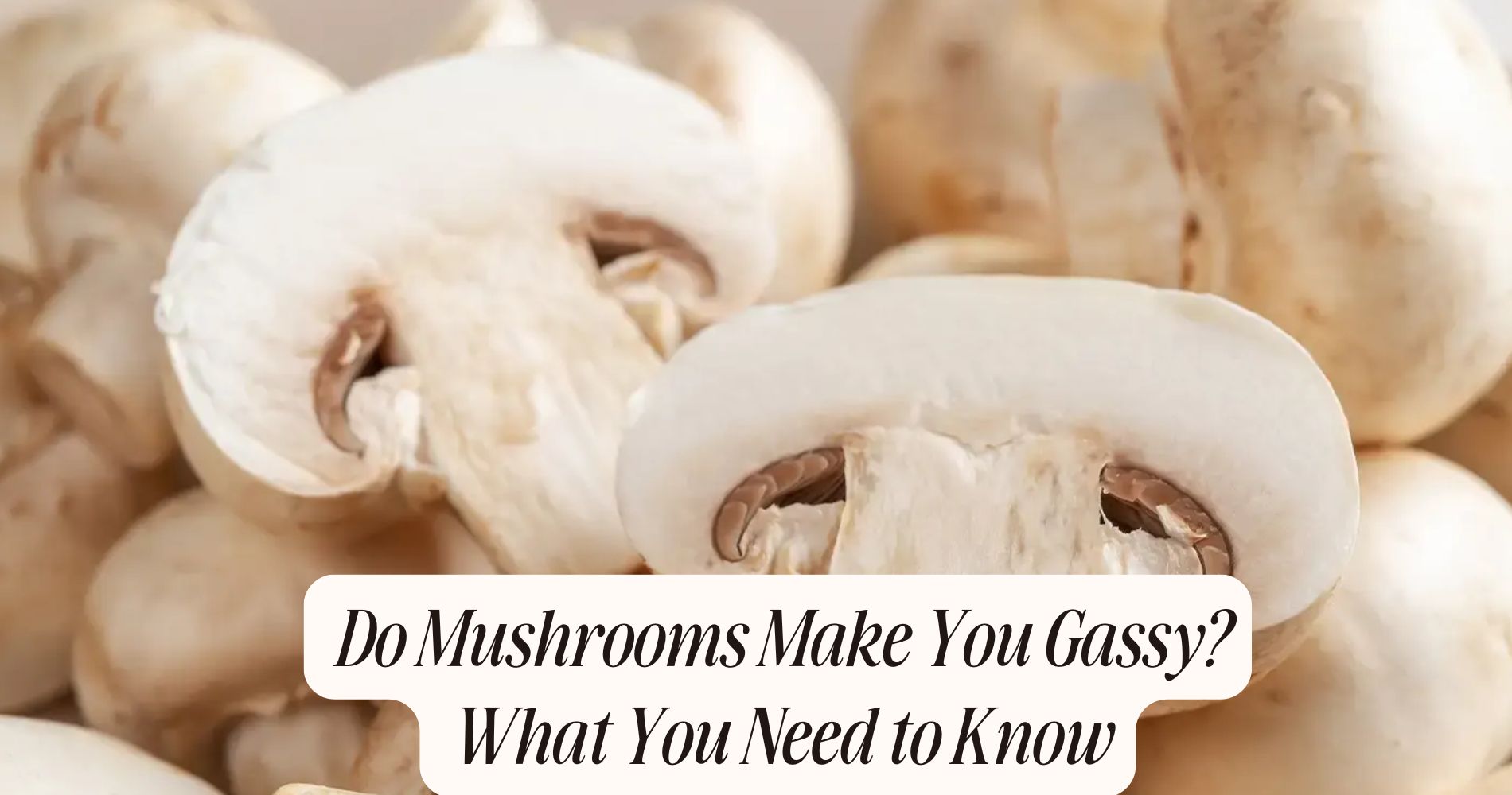 do mushrooms make you gassy