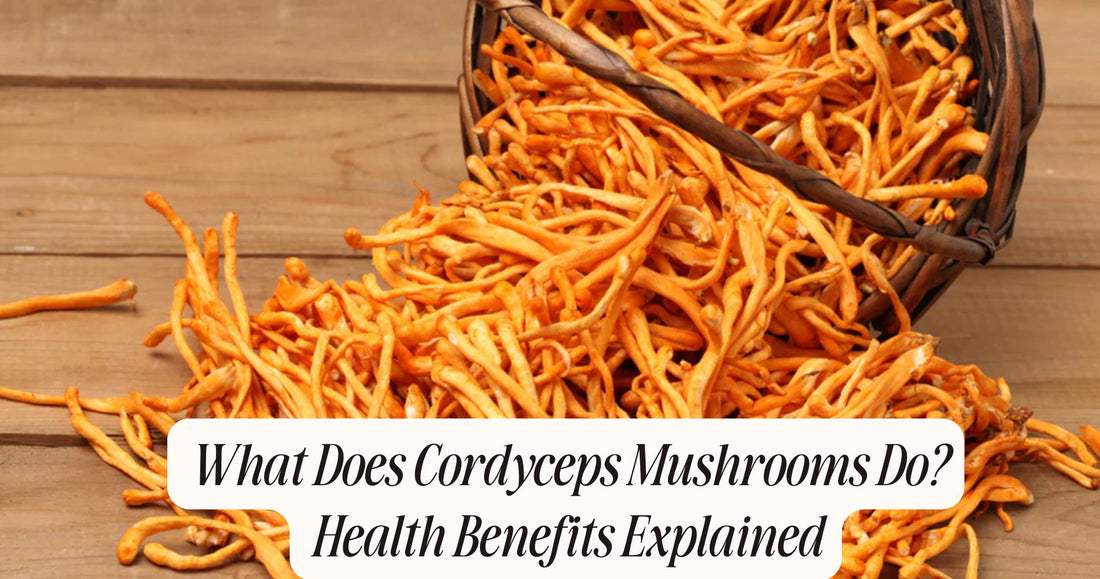 what does cordyceps mushrooms do