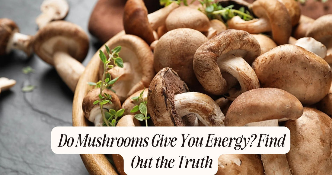 do mushrooms give you energy