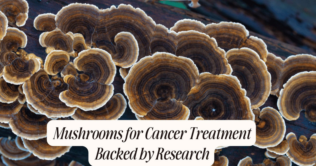 mushrooms for cancer treatment